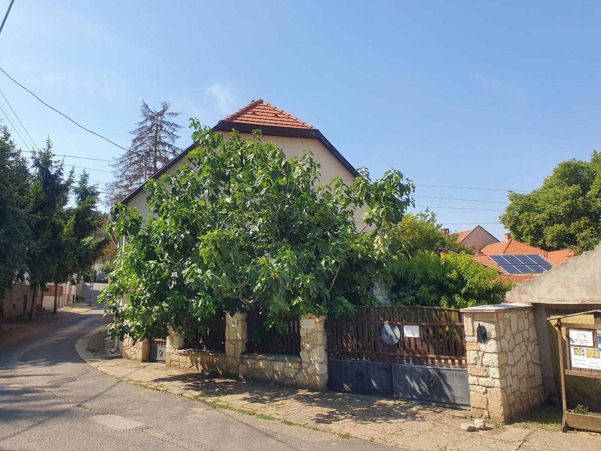 Paulay Borhaz Es Vendeghaz Hotel Tokaj Buitenkant foto