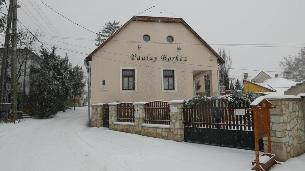 Paulay Borhaz Es Vendeghaz Hotel Tokaj Buitenkant foto