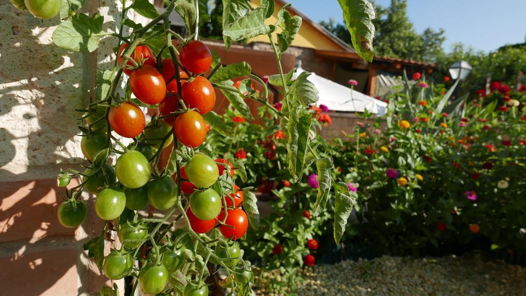 Paulay Borhaz Es Vendeghaz Hotel Tokaj Buitenkant foto